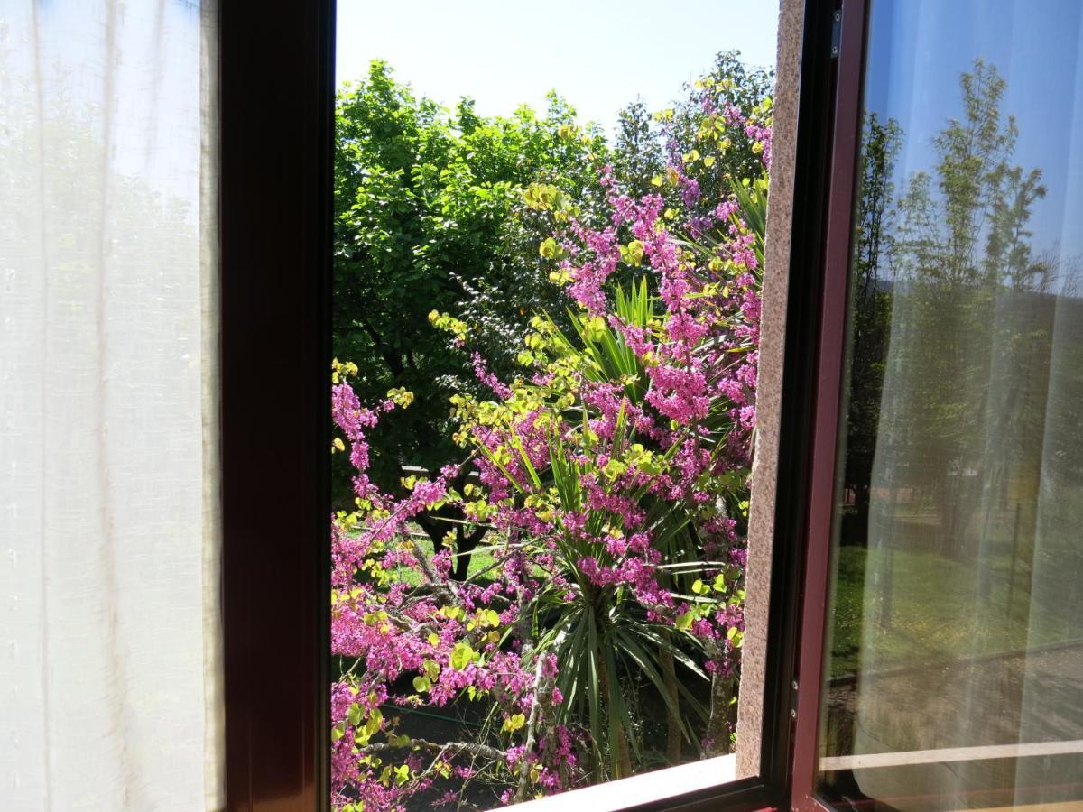 Hébergement de vacances Casa Dos Tinocos Braga