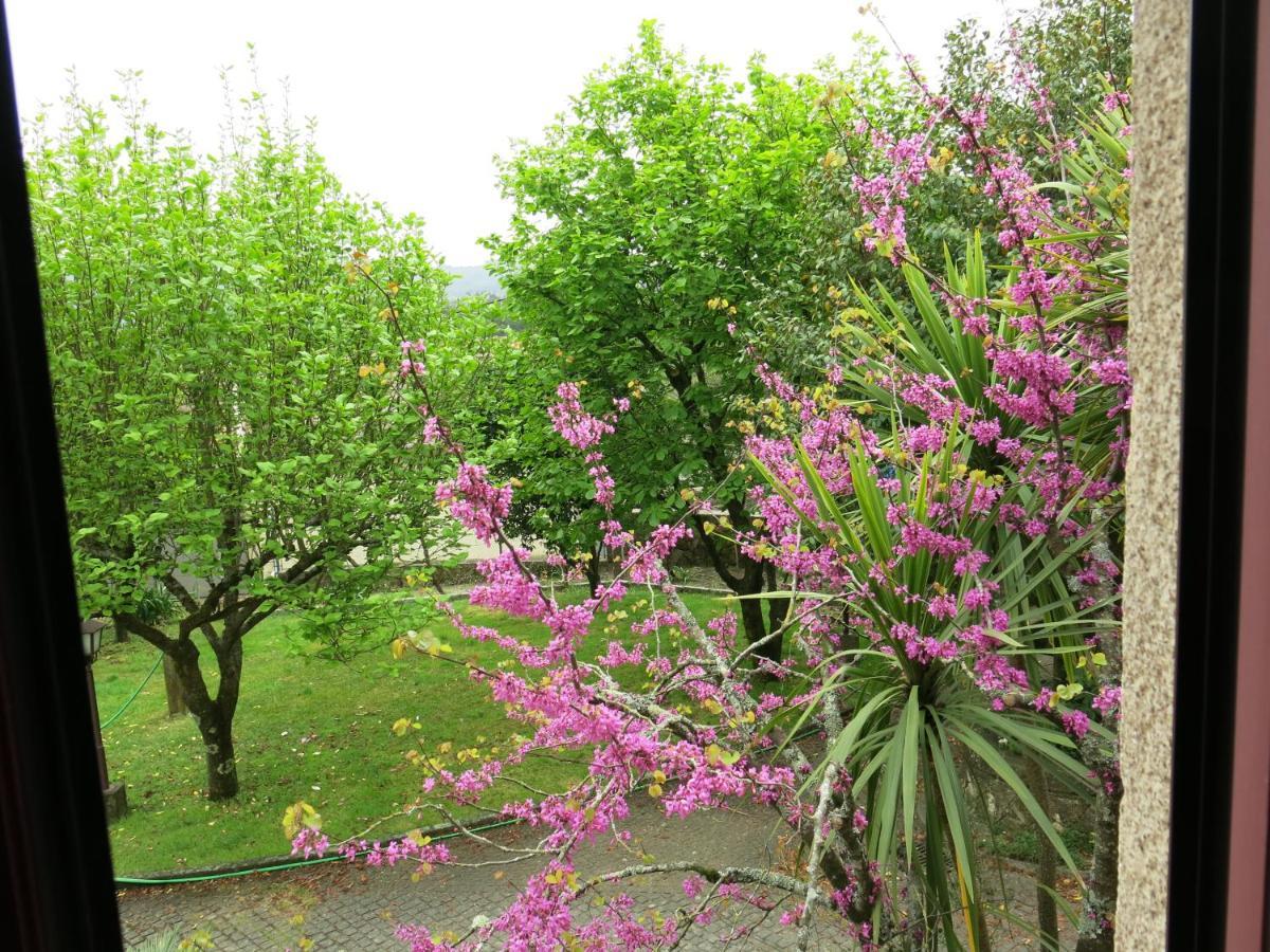 Casa Dos Tinocos Holiday home