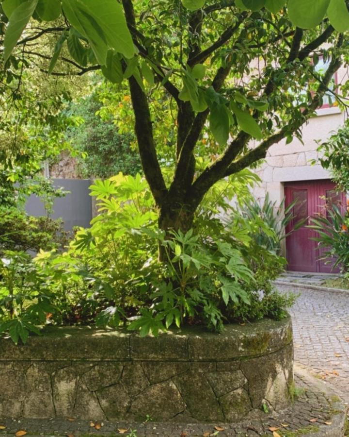 Casa Dos Tinocos Hébergement de vacances Braga